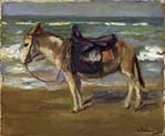 riding donkey at the seashore